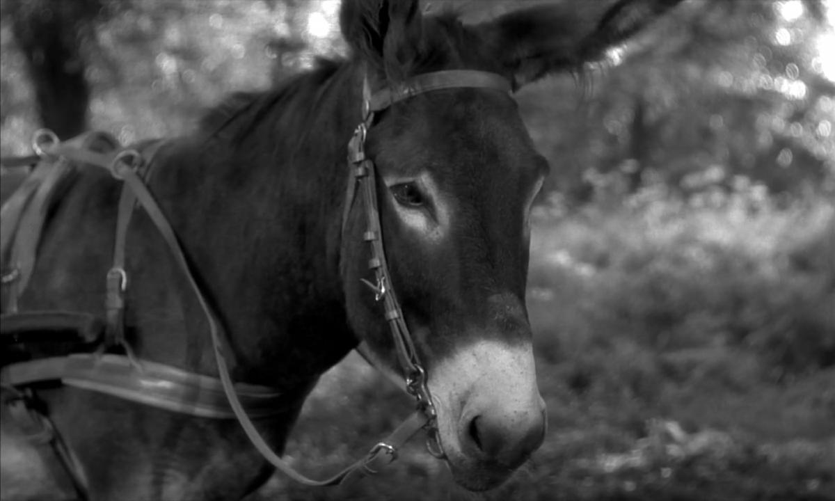 (1) Au hasard Balthazar (Robert Bresson, 1966)