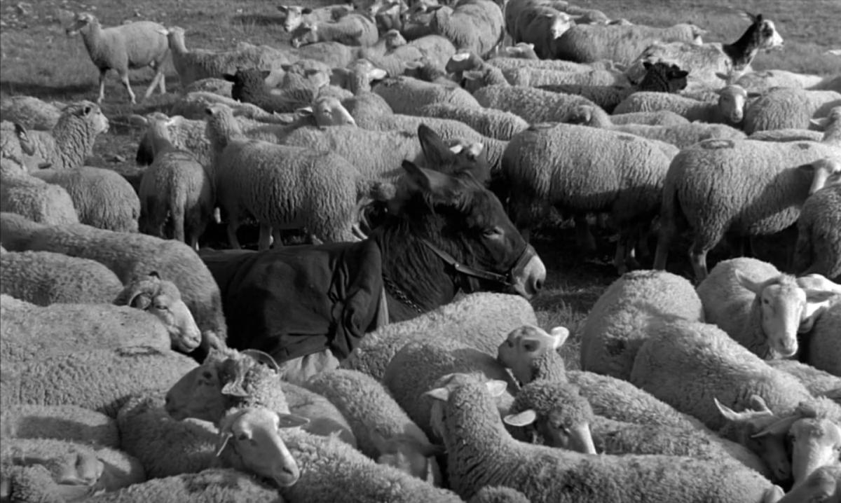 (4) Au hasard Balthazar (Robert Bresson, 1966)