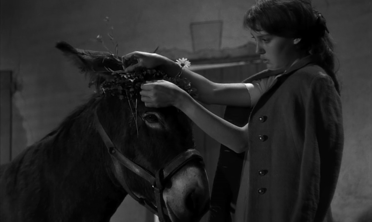 (1) Au hasard Balthazar (Robert Bresson, 1966)