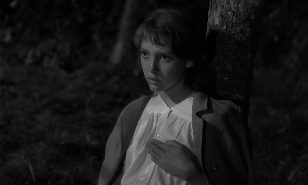 (2) Au hasard Balthazar (Robert Bresson, 1966)