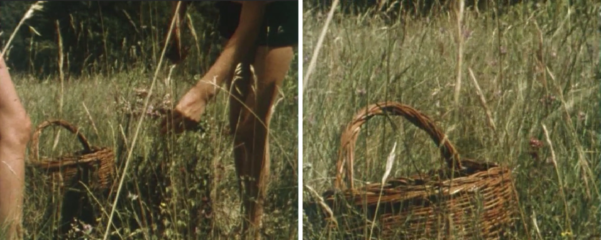 (3) Projet N (Fernand Deligny, Alain Cazuc , 1979)