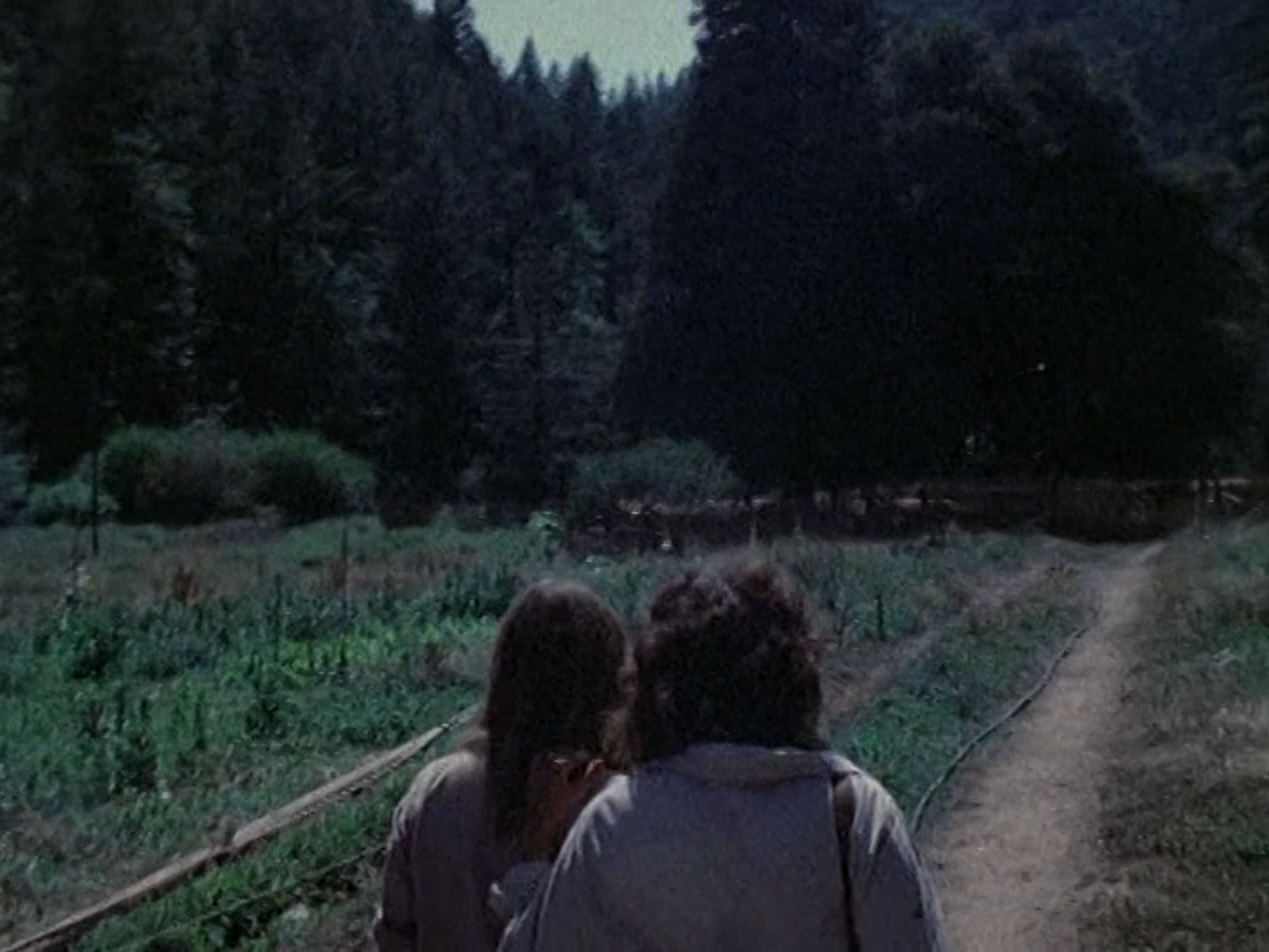 Milestones (John Douglas & Robert Kramer, 1975) 21