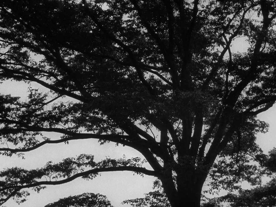 (1) Banshun [Late Spring] (Yasujirô Ozu, 1949)