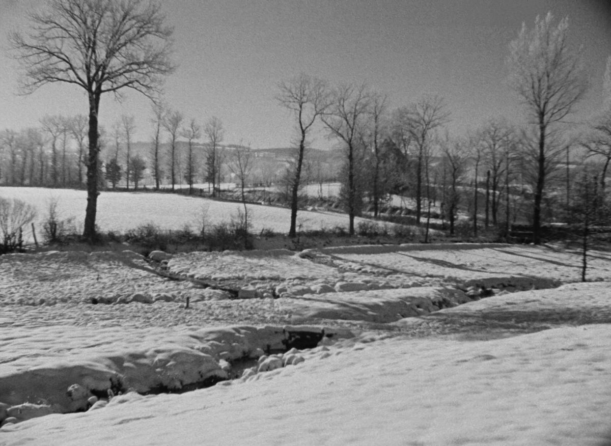 Farrebique ou les quatres saisons (Georges Rouquier, 1946)