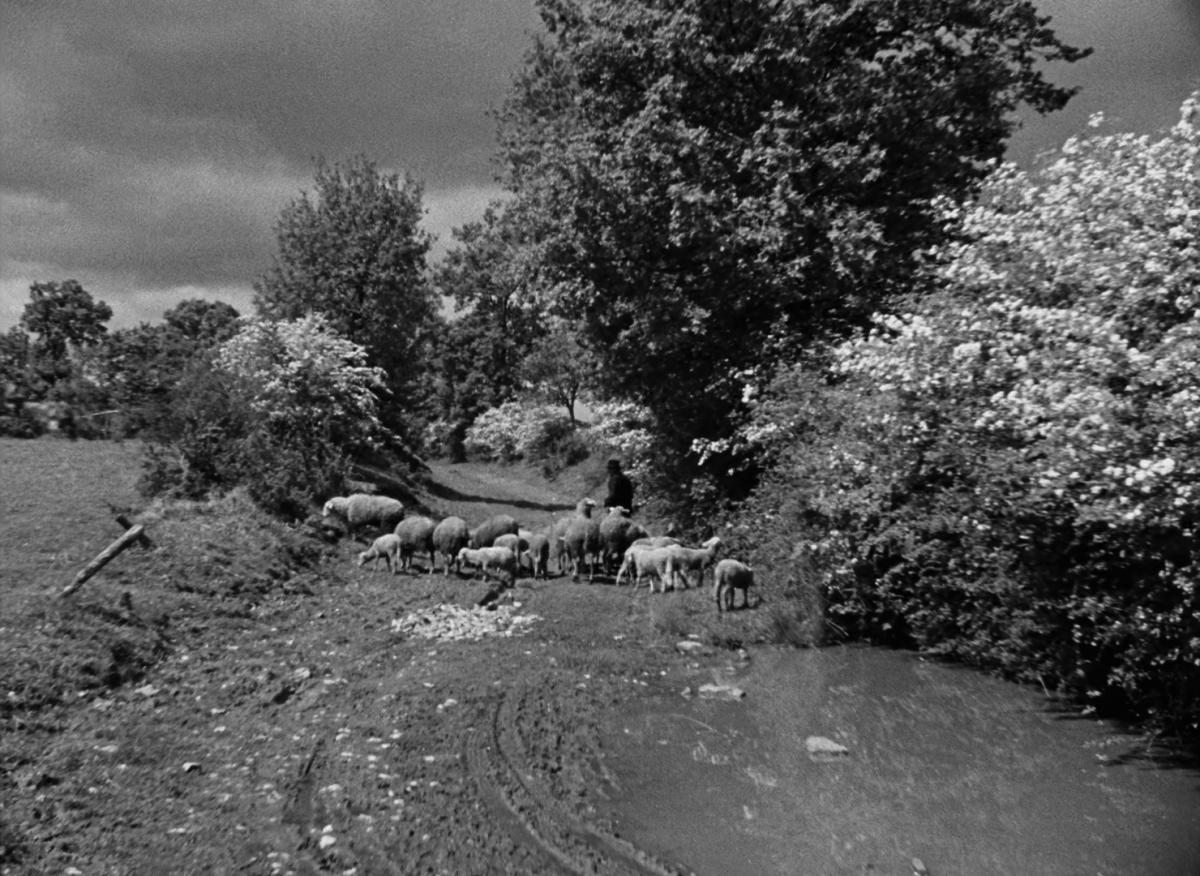 Farrebique ou les quatres saisons (Georges Rouquier, 1946)