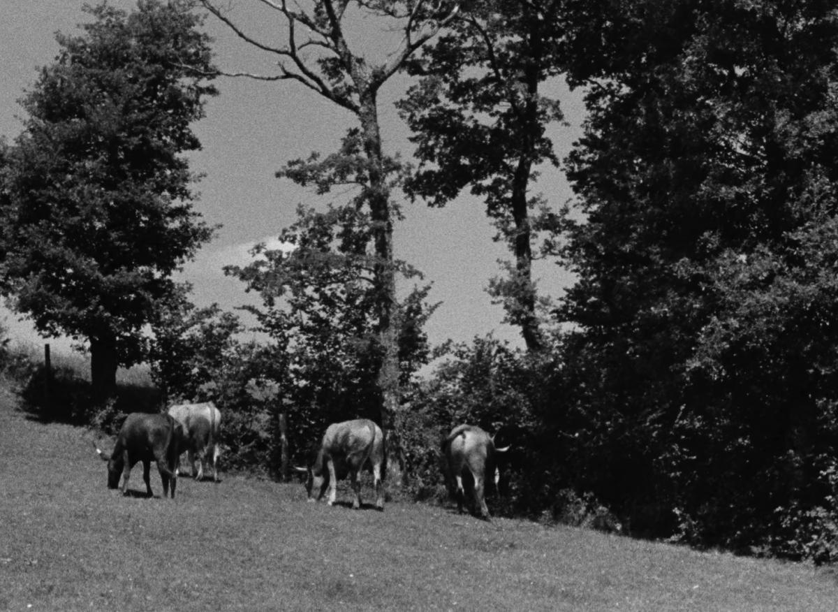 Farrebique ou les quatres saisons (Georges Rouquier, 1946)