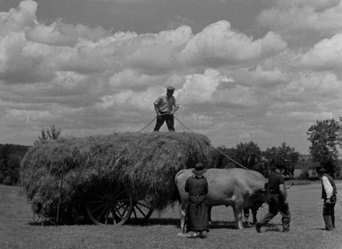 Farrebique ou les quatres saisons (Georges Rouquier, 1946)