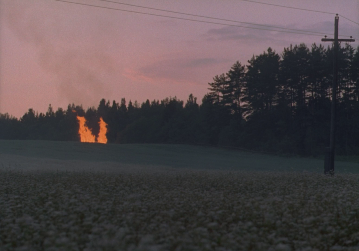 (3) Zerkalo [The Mirror] (Andrei Tarkovsky, 1975)