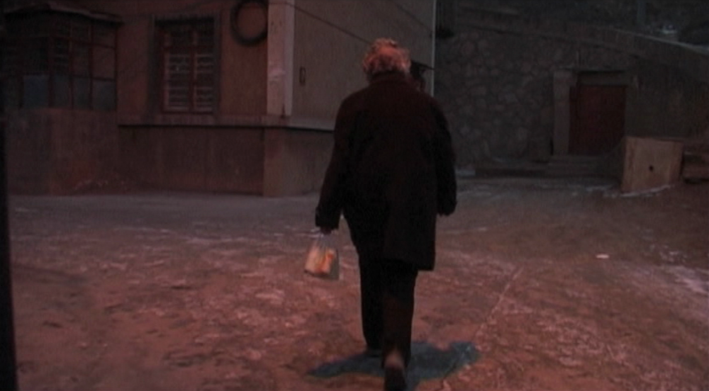 (2) He Fengming [Fengming: A Chinese Memoir] (Wang Bing, 2007)