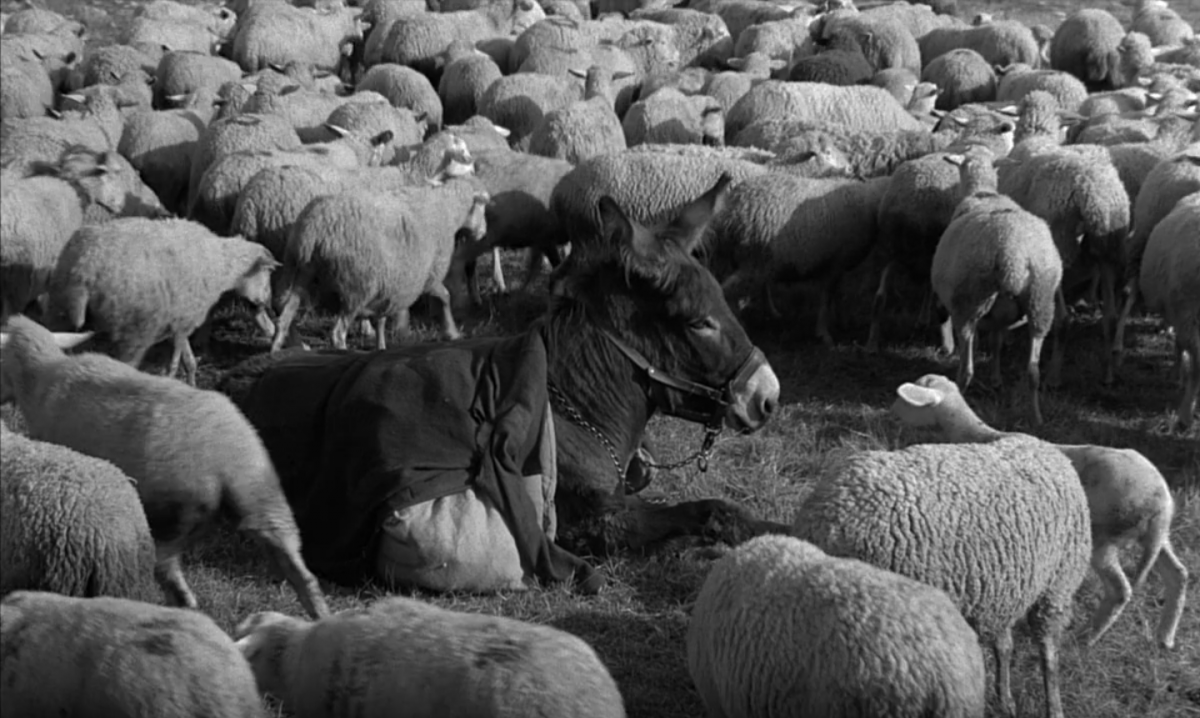 (6) Au hasard Balthazar (Robert Bresson, 1966)