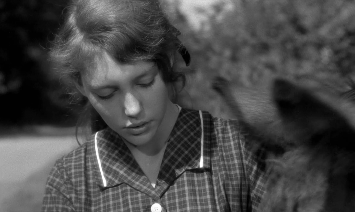 (9) Au hasard Balthazar (Robert Bresson, 1966)