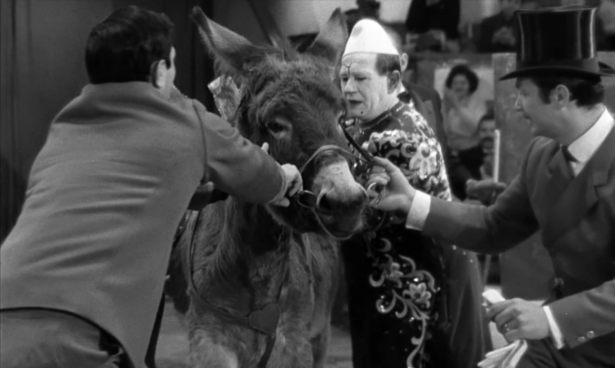 (10) Au hasard Balthazar (Robert Bresson, 1966)