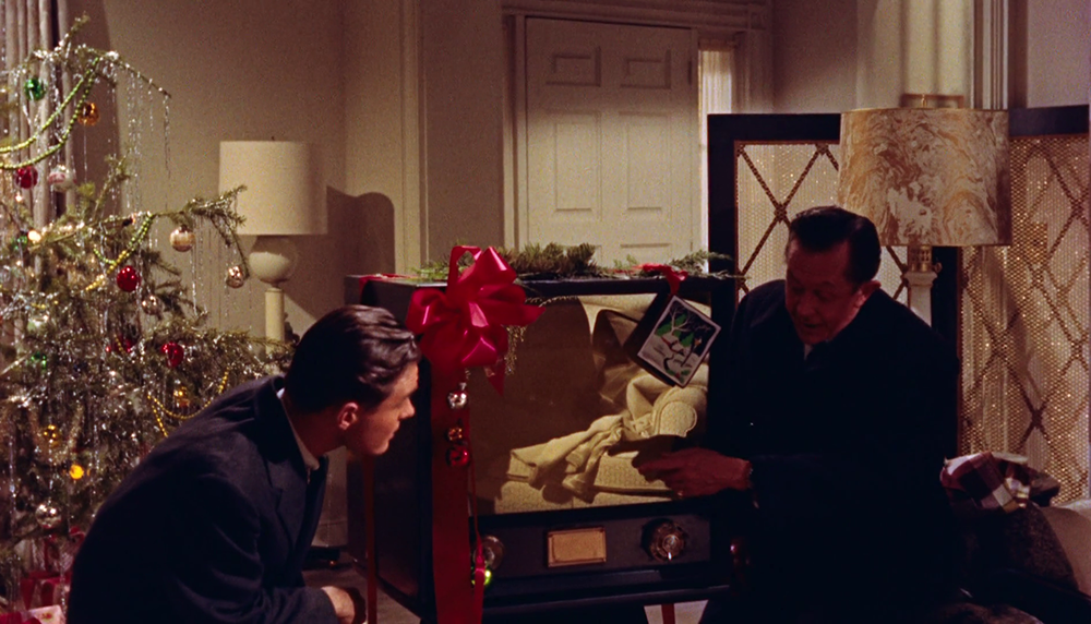 (2) All That Heaven Allows (Douglas Sirk, 1955)