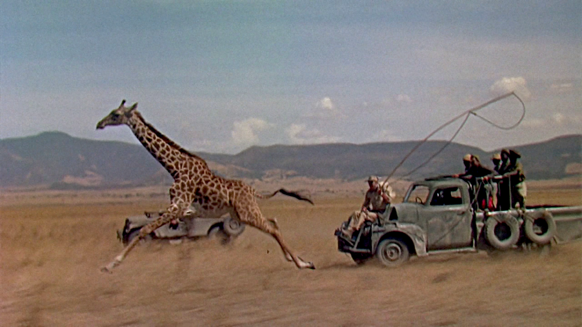 (2) Hatari! (Howard Hawks, 1962)