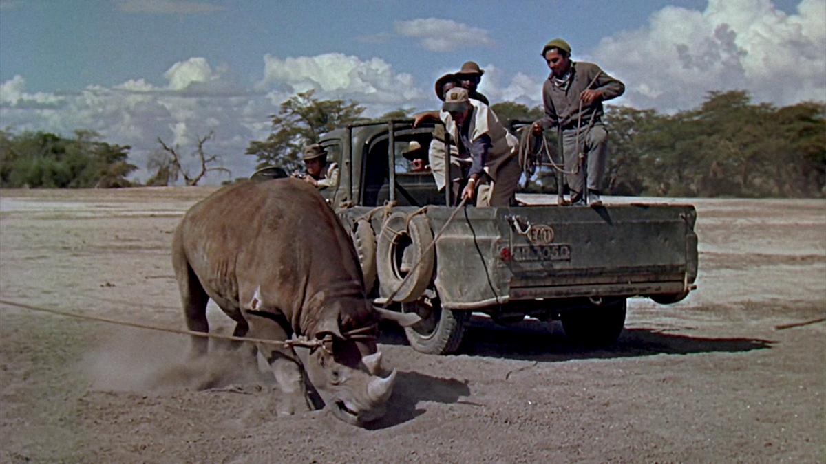 (3) Hatari! (Howard Hawks, 1962)