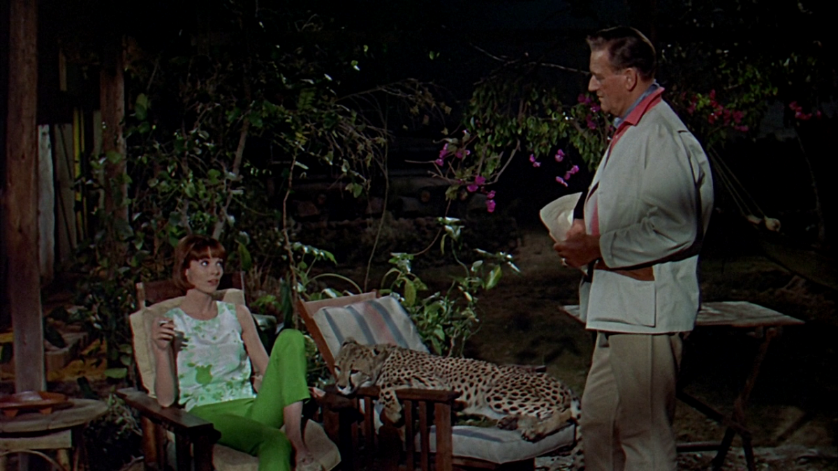 (5) Hatari! (Howard Hawks, 1962)