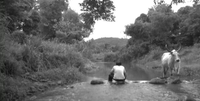 Unang aklat - Ang alamat ng prinsesang bayawak [Heremias: Book One - The Legend of the Lizard Princess] (Lav Diaz, 2006)